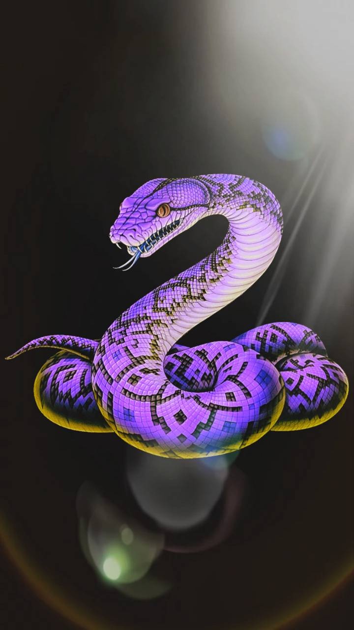 Khám phá 289 hình nền con rắn 3d mới nhất  cbnguyendinhchieu